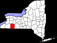 NYS outline with counties (allegany highlighted)